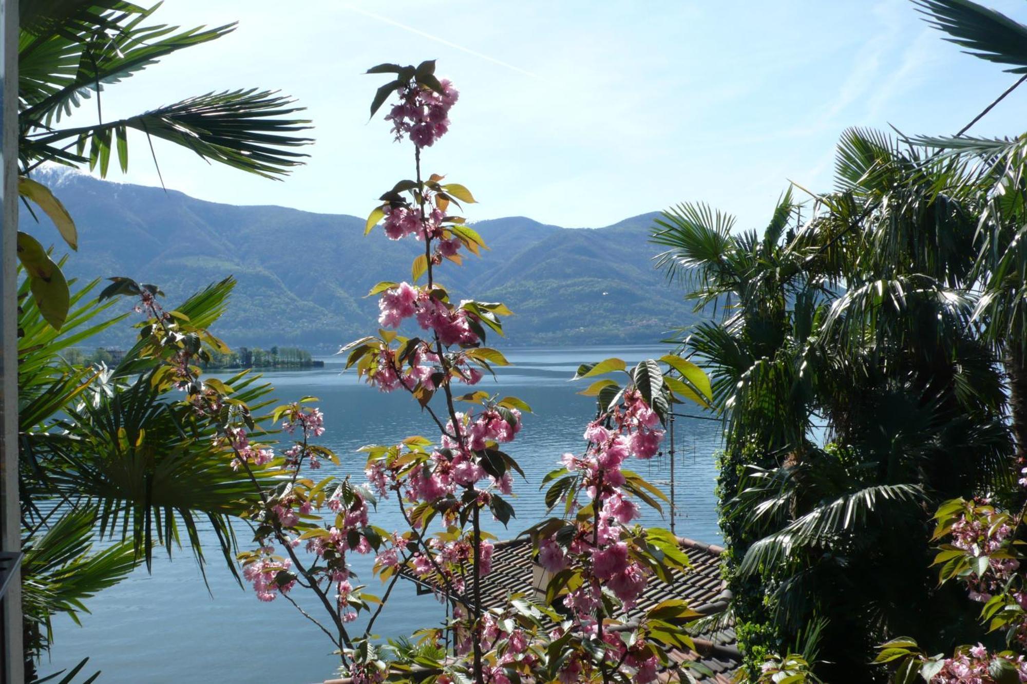 Residenza Bettina Bnb & Ferienwohnungen Ronco sopra Ascona Bagian luar foto